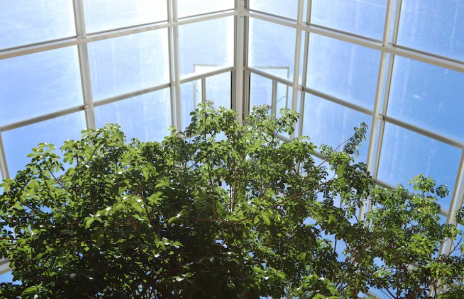 Creative Indoor Gardening Ideas for Your Sunroom